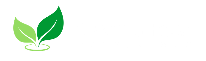 Clean & Fresh Nottingham Cleaners